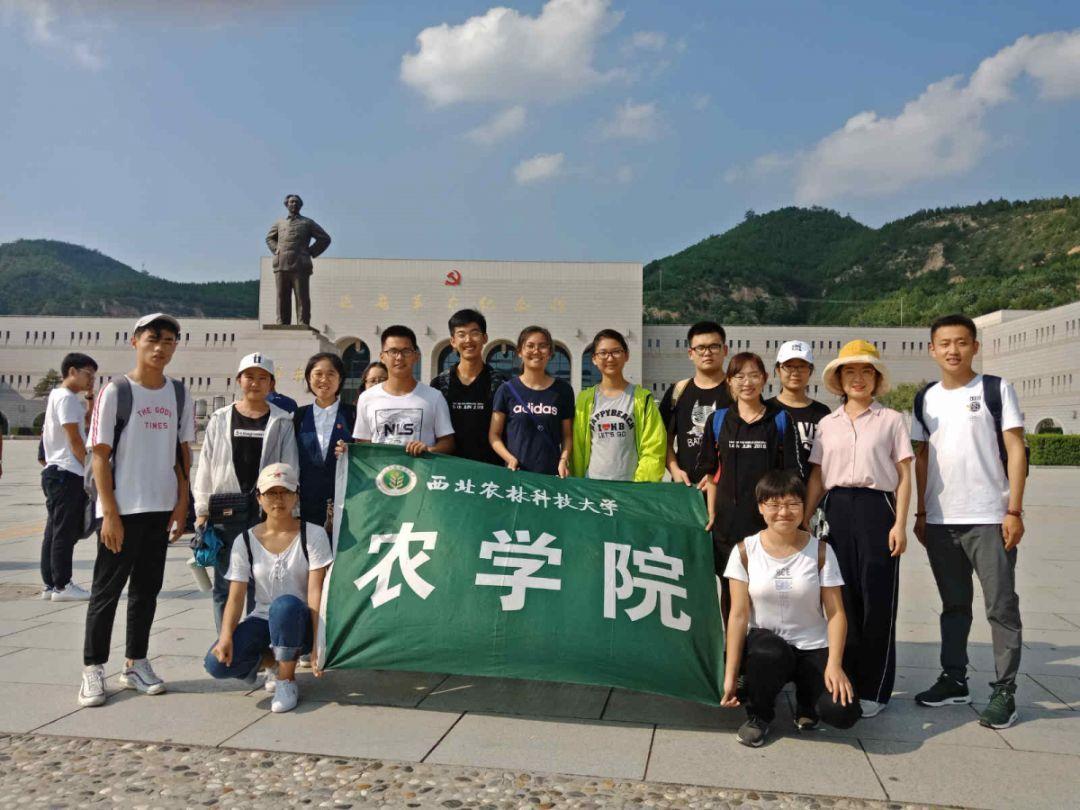 玥玛锁开锁技巧游戏画面